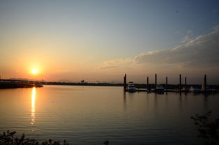 千帆竞发，轻艇马拉松点亮湖滨赛场，赛艇马拉松多少公里