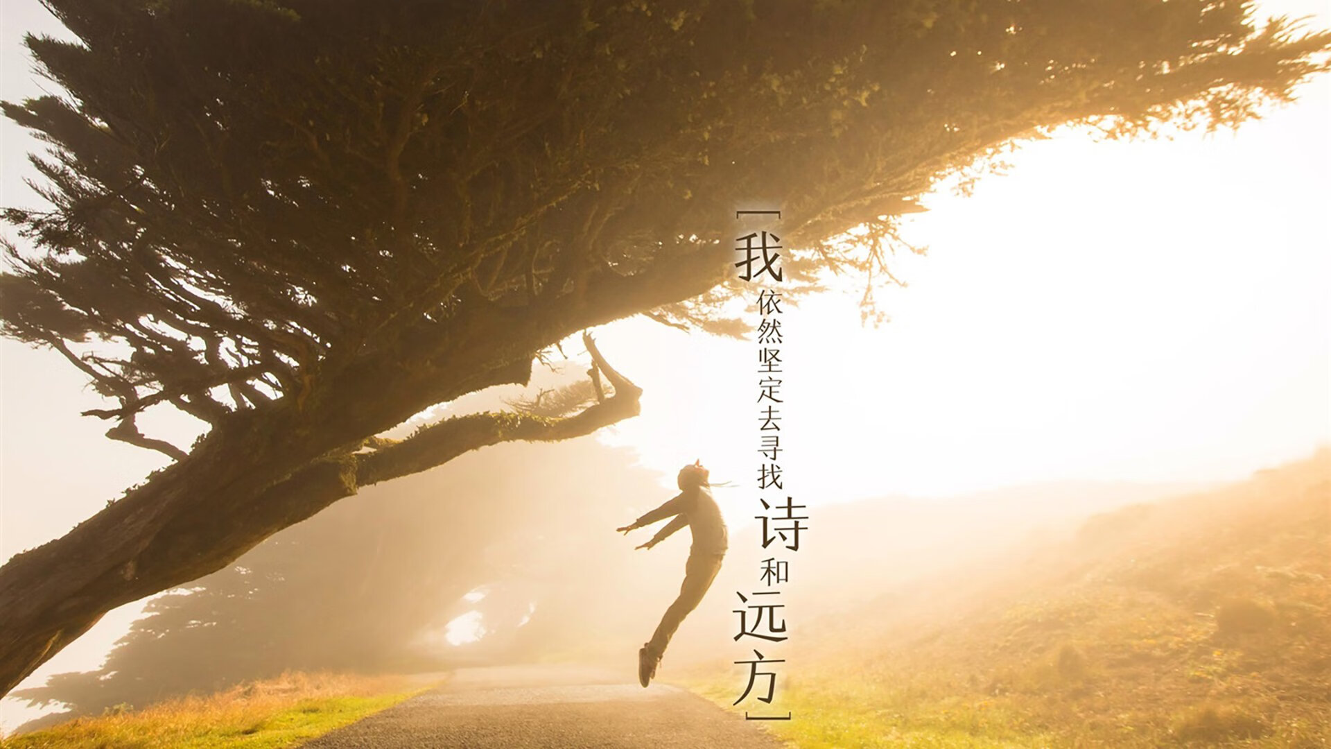 澳大利亚队在全球乒乓舞台的未来:挑战与机遇并存,澳大利亚乒乓球运动员最新情况