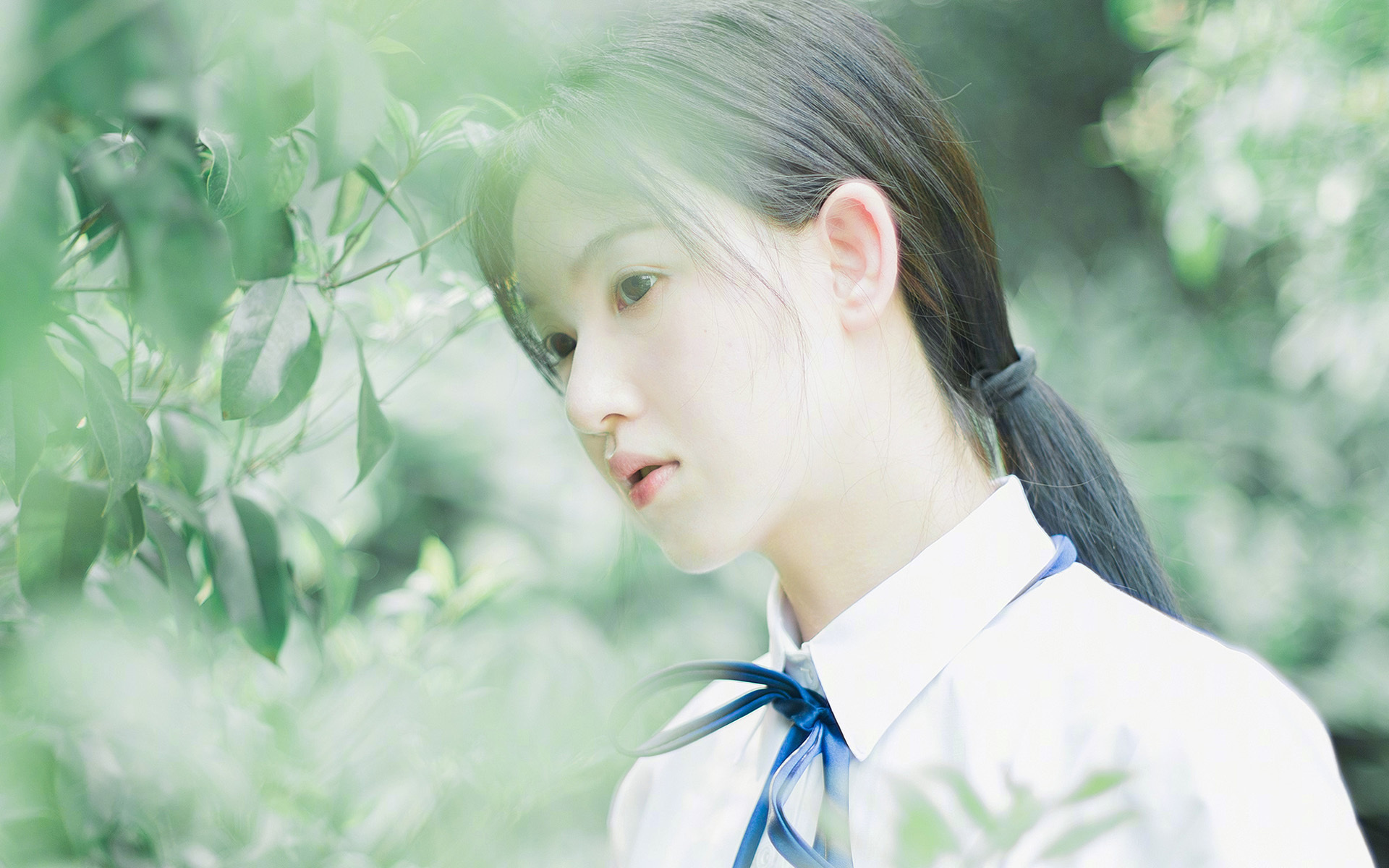 联盟中高命中率球员的出手选择逻辑，联盟命中率排名