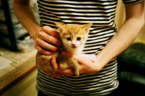 节奏偏快的球队是否适合打背靠背比赛，节奏偏快的球队是否适合打背靠背比赛