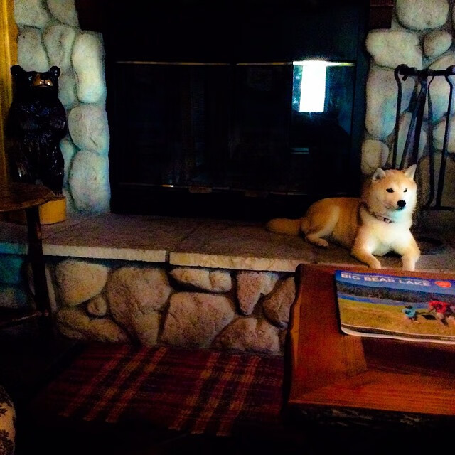 基：全黑队的“稳定器”，无论局势如何变化，他都能保持冷静