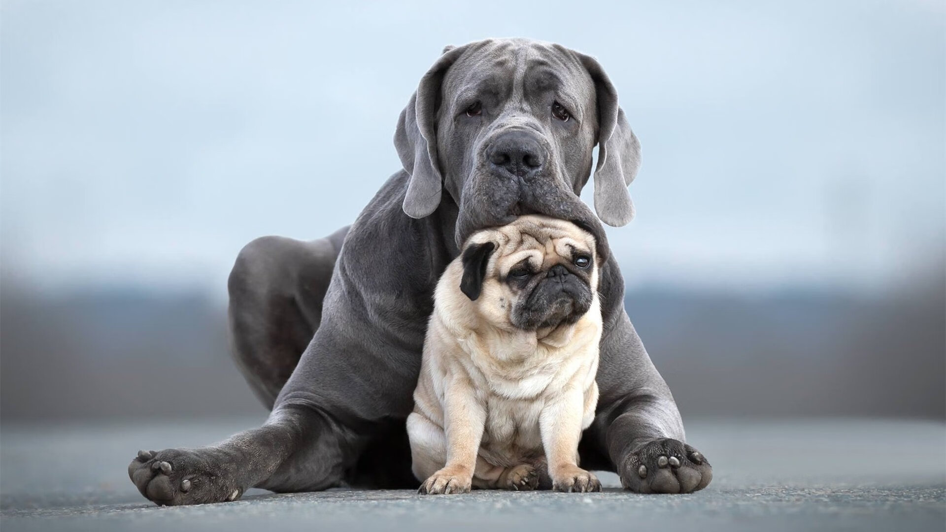 数字化分析助力技术优化与战术部署,数字化技术及手段