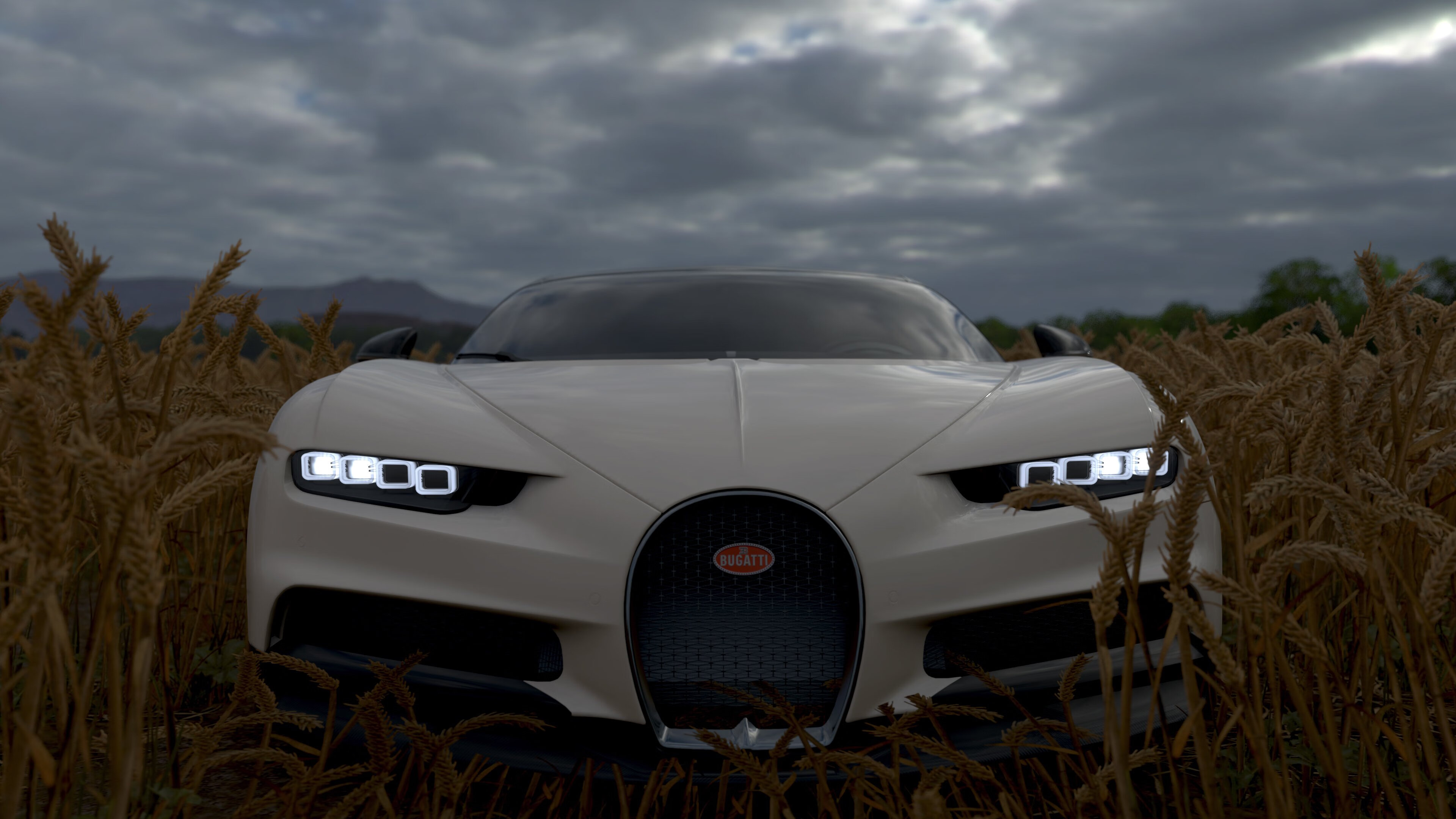 美洲杯明星争锋：场上技艺与战斗精神的交融，美洲杯人气